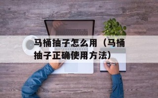 马桶抽子怎么用（马桶抽子正确使用方法）