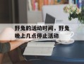 野兔的活动时间，野兔晚上几点停止活动