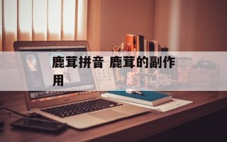鹿茸拼音 鹿茸的副作用
