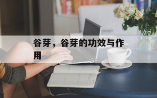 谷芽，谷芽的功效与作用