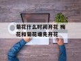 菊花什么时间开花 梅花和菊花谁先开花