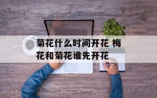 菊花什么时间开花 梅花和菊花谁先开花