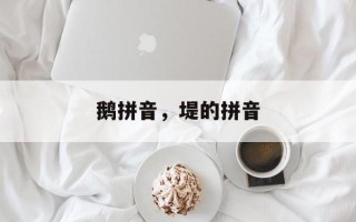 鹅拼音，堤的拼音