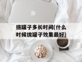 拔罐子多长时间(什么时候拔罐子效果最好)