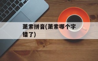 萧索拼音(萧索哪个字错了)