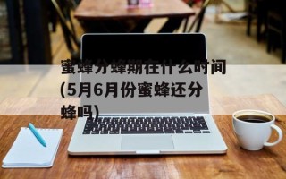 蜜蜂分蜂期在什么时间(5月6月份蜜蜂还分蜂吗)