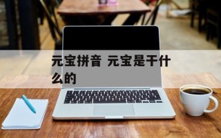 元宝拼音 元宝是干什么的
