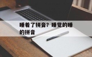 睡着了拼音？睡觉的睡的拼音