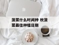 菠菜什么时间种 秋菠菜最佳种植日期