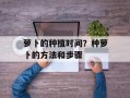 萝卜的种植时间？种萝卜的方法和步骤