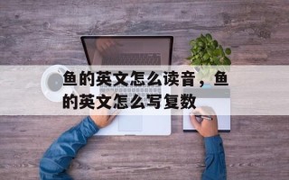 鱼的英文怎么读音，鱼的英文怎么写复数