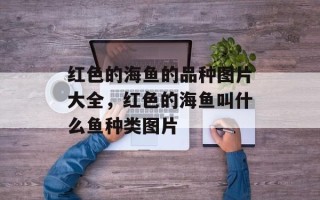 红色的海鱼的品种图片大全，红色的海鱼叫什么鱼种类图片