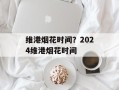 维港烟花时间？2024维港烟花时间