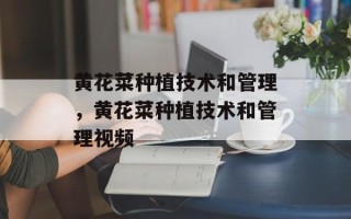 黄花菜种植技术和管理，黄花菜种植技术和管理视频