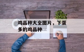 鸡品种大全图片，下蛋多的鸡品种