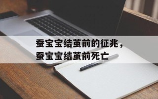 蚕宝宝结茧前的征兆，蚕宝宝结茧前死亡
