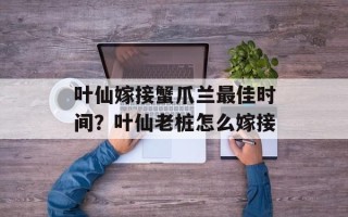 叶仙嫁接蟹爪兰最佳时间？叶仙老桩怎么嫁接