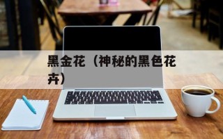 黑金花（神秘的黑色花卉）