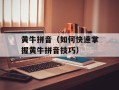 黄牛拼音（如何快速掌握黄牛拼音技巧）