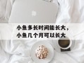 小鱼多长时间能长大，小鱼几个月可以长大