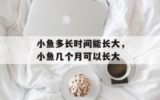 小鱼多长时间能长大，小鱼几个月可以长大
