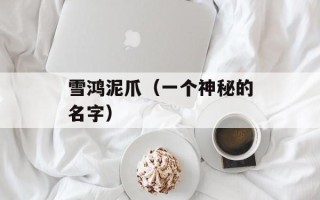 雪鸿泥爪（一个神秘的名字）