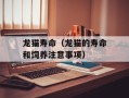 龙猫寿命（龙猫的寿命和饲养注意事项）