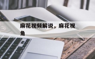 麻花视频解说，麻花视角