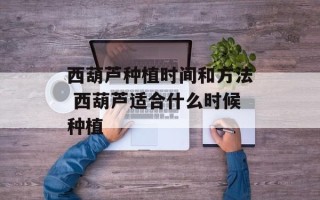 西葫芦种植时间和方法 西葫芦适合什么时候种植