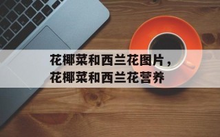 花椰菜和西兰花图片，花椰菜和西兰花营养