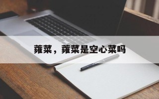 蕹菜，蕹菜是空心菜吗