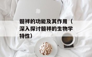 髓袢的功能及其作用（深入探讨髓袢的生物学特性）