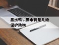 黑水鸭，黑水鸭是几级保护动物