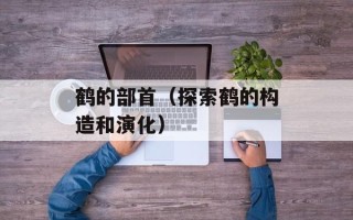 鹤的部首（探索鹤的构造和演化）