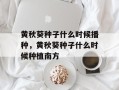 黄秋葵种子什么时候播种，黄秋葵种子什么时候种植南方