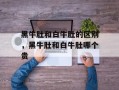 黑牛肚和白牛肚的区别，黑牛肚和白牛肚哪个贵
