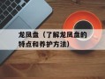 龙凤盘（了解龙凤盘的特点和养护方法）