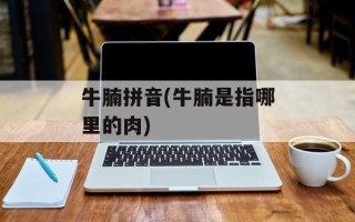 牛腩拼音(牛腩是指哪里的肉)