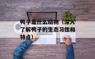 鸭子是什么动物（深入了解鸭子的生态习性和特点）