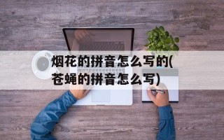 烟花的拼音怎么写的(苍蝇的拼音怎么写)