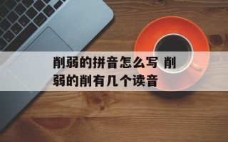 削弱的拼音怎么写 削弱的削有几个读音