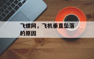 飞螺网，飞机垂直坠落的原因