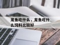 龙鱼吃什么，龙鱼吃什么饲料比较好