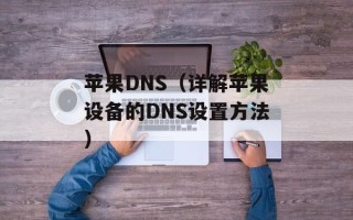 苹果DNS（详解苹果设备的DNS设置方法）