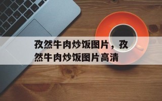 孜然牛肉炒饭图片，孜然牛肉炒饭图片高清