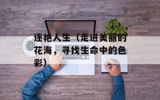逐艳人生（走进美丽的花海，寻找生命中的色彩）