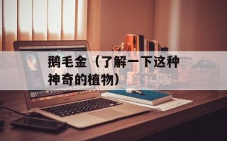 鹅毛金（了解一下这种神奇的植物）