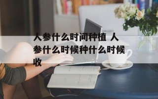 人参什么时间种植 人参什么时候种什么时候收
