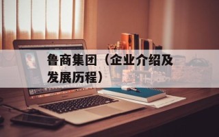 鲁商集团（企业介绍及发展历程）