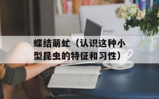 蝶结萌虻（认识这种小型昆虫的特征和习性）